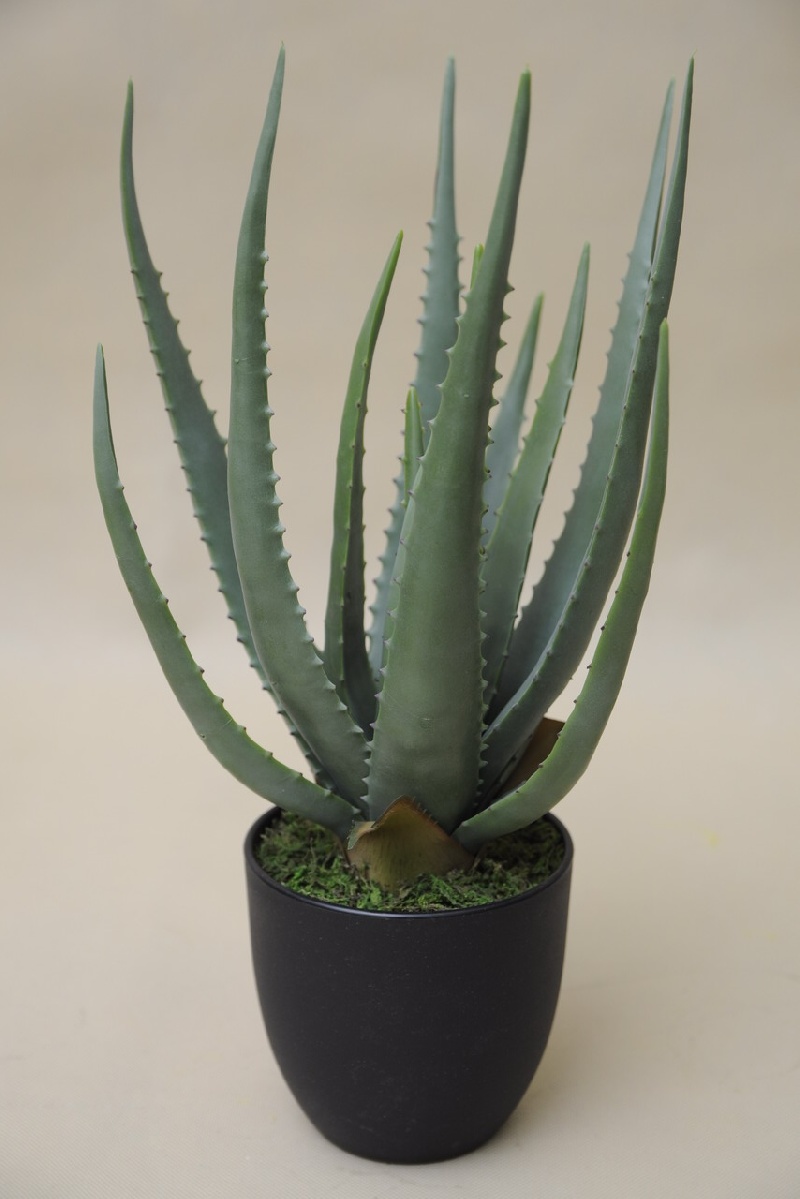 802104 ALOES W DONICZCE 45 CM OP.6 SZT - Masz.eu - hurtownia, ozdoby  dekoracyjne, kwiaty, sztuczne, stroiki