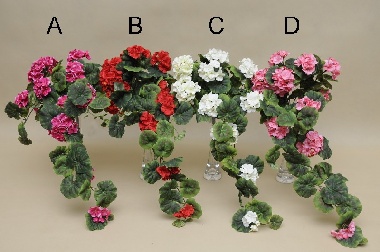 J169A BLUSZCZ  PELARGONIA*9  70 CM  OP.12 SZT