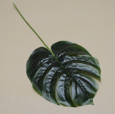 RX067 LIŚĆ WOSKOWANY MONSTERA 55CM OP.12/60SZT