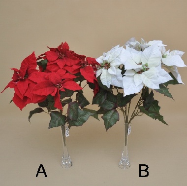 SUN674 GWIAZDA BETLEJEMSKA BUKIET*5  60 CM W OP.8