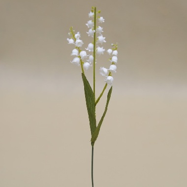 70004 KONWALIA PIK 36 CM OP.12/144 SZT