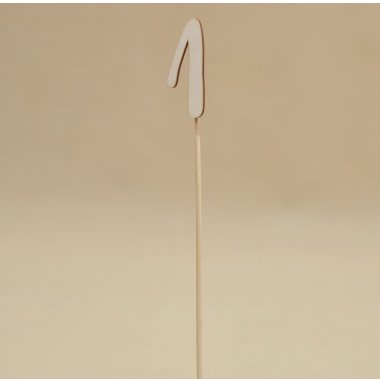 TOPPERY PIKI OKOLICZNOŚCIOWY