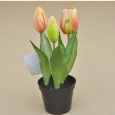 DON03467 TULIPAN*3 GUMOWY DONICZKA H 20 CM OP.12