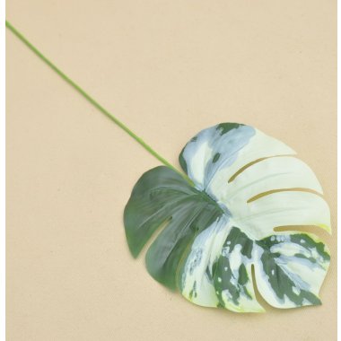 CF1-143J LIŚĆ MONSTERA ZIEL-BIAŁY WOSK 56 CM OP.12