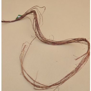 CV35414 KONAR ZWINIĘTY  170 CM 6/12 SZT