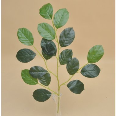 GREE024 LIŚĆ*4 MAGNOLI WOSKOWANY 62 CM OP.12 SZT