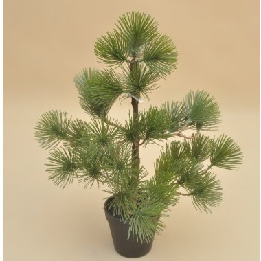 CH18951624GR SOSNA W DONICZCE H 52*40 CM