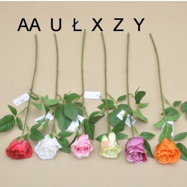 SUN411 RÓŻA PĄK POJEDYNCZA 60 CM OP.6/48 SZT