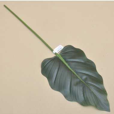 ART247 LIŚĆ ALOKAZJI  WOSKOWANY 75 CM OP.12/48