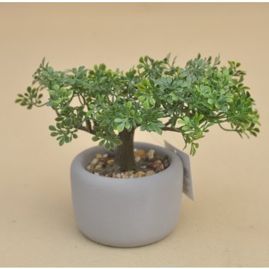 DON03515 DRZEWKO BONSAI W DONICZCE H 17*23 CM