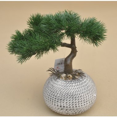DON03511 DRZEWKO BONSAI W DONICY H25*24CM