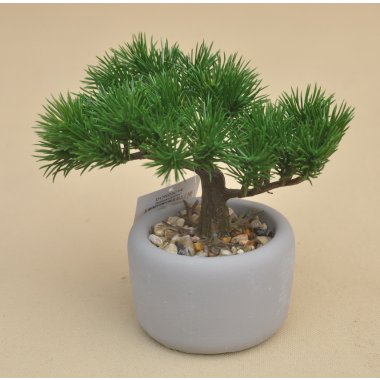 DON03514 DRZEWKO BONSAI W DONICZCE H 17*20 CM