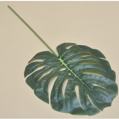 GREE003 LIŚĆ MONSTERA WOSKOWANY 70 CM OP.12 SZT