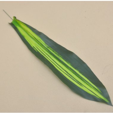 GREE016 LIŚĆ DRACENY WOSKOWANY 50 CM OP.12 SZT