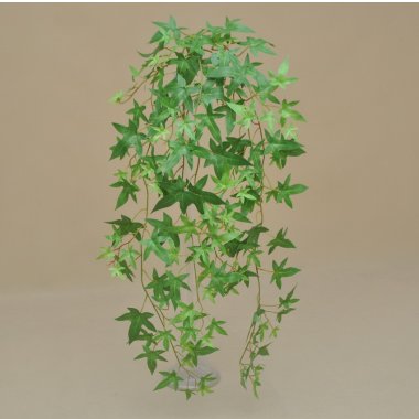 KLM1143 BLUSZCZ KLON JAPOŃSKI 120 CM  OP.6 SZT