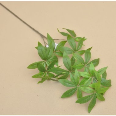 SHC003 SZEFLERA GAŁĄZKA GREEN 80 CM W OP. 6/24