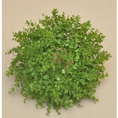 Q99-0450/0452 WIANEK EUKALIPTUS ZIELONY 40CM OP.18