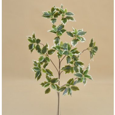 LVS1001 LIŚĆ FIGOWCA WOSKOWANY 65CM OP.12