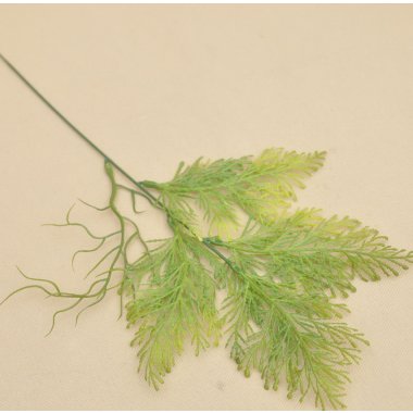 M136 GAŁĄZKA THUJA H52 OP.12/360 SZT