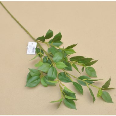EUK010 FIKUS BENJAMIN 80 CM W OP. 6/36 SZT