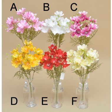 14970 BUKIET COSMOS*5 36 CM OP.6/24 SZT