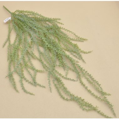 D120726GY ASPARAGUS ZWIS 90 CM OP.6/24 SZT