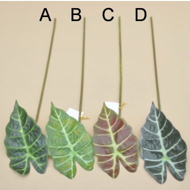 LI00626 LIŚĆ ALOCASIA KORDYLINA GUMOWAN 65CM OP.12