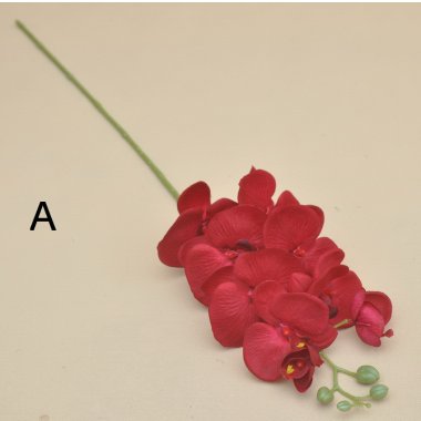 ZB008 FQ001 STORCZYK POJEDYNCZY 100 CM 6/24 SZT