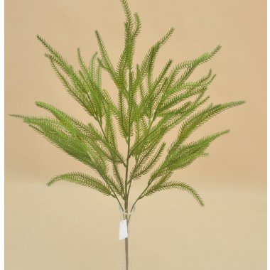 32B7 BUKIET*6 SKRZYPU 65 CM OP.6/12 SZT