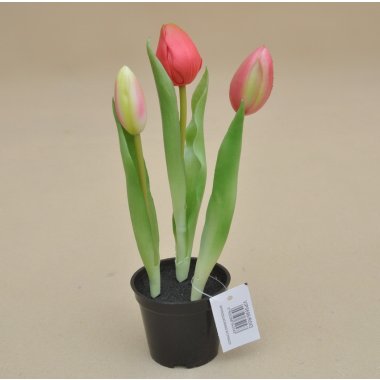 VIP5696/R043 TULIPAN*3 GUMA DONICZKA 24 CM OP.36
