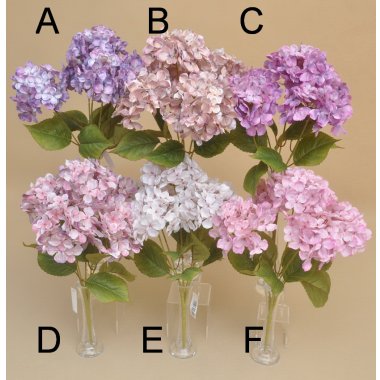BUKIET HORTENSJA MIX W OP.12 SZT