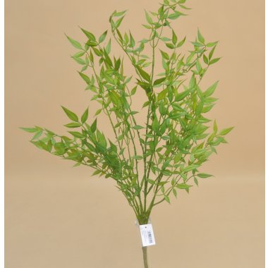 JUN117 BUKIET RUSKUS PODGUMOWANY 75 CM OP.2/6/24