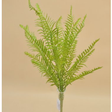 JUN033 BUKIET PAPROCI 50 CM. 6/36 SZT.