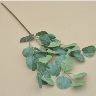 CV35886 EUKALIPTUS*3 OMSZONY 68 CM OP.6/48 SZT