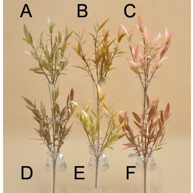 27185BP BUKIET*5 RUSKUS 30 CM OP.6/36 SZT