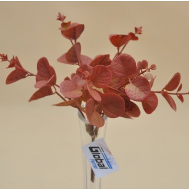 KWI-177-02258 EUKALIPTUS JESIEŃ PIK 20 CM OP.6/48