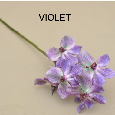 LEV002 STORCZYK WANDA PIANKA 60 CM OP.6 SZT