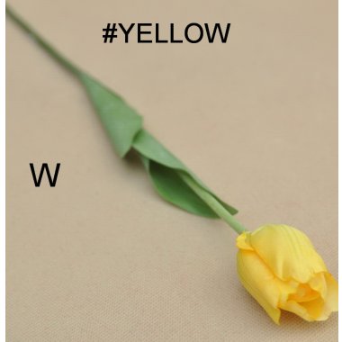 ART258 TULIPAN OŁÓWKOWY 50 CM W OP.12 SZT