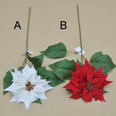 SUN763 GWIAZDA POJEDYŃCZA 70 CM W OP.6/24 SZT