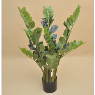 TREE034 ZAMIOCULCAS WOSKOWANY DONICZKA 75 CM