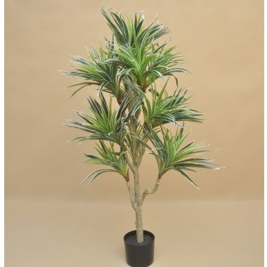GREE050 DRACENA W DONICZCE WOSKOWANA 115 CM