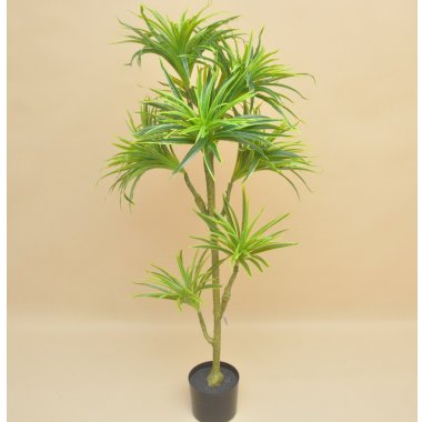 GREE049 DRACENA WOSKOWANA DONICZKA 130 CM