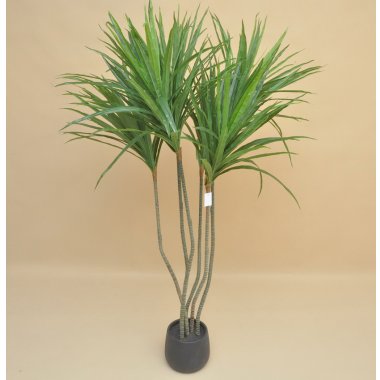 GREE046 DRACENA WOSKOWANA DONICZKA 140 CM