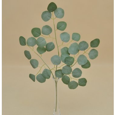 CV38779 LIŚCIE EUKALITPUSA OMSZONY*3 60CM W OP.12