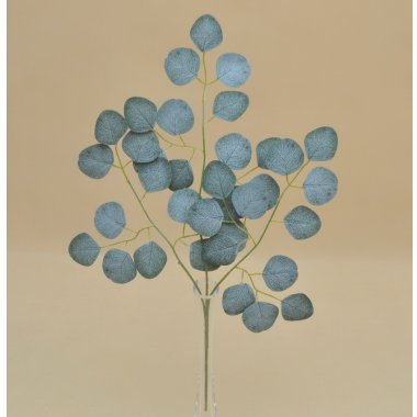 CV38780 LIŚCIE EUKALIPTUSA OMSZONY 60 CW OP.12SZT