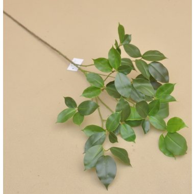 WEI1042 FIKUS BENJAMIN WOSKOWANY 90 CM 6/24 SZT