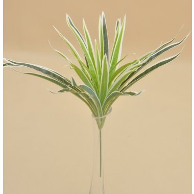GREE063 ZIELISTKA NA PIKU 38 CM W OP. 6/24 SZT