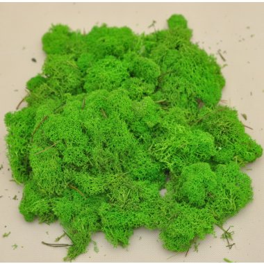 767 MECH CHROBOTEK SUMMER GREEN MIX 200G