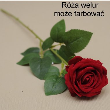 3102 RÓŻA WELUR 51CM OP.6/24