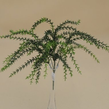 A603798GR BUKIET*6 ASPARAGUS 48 CM OP.6/48 SZT